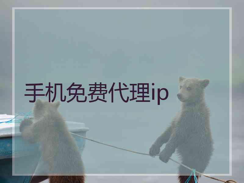 手机免费代理ip