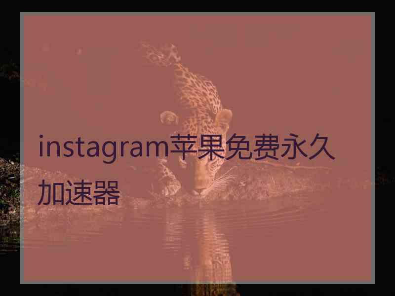 instagram苹果免费永久加速器