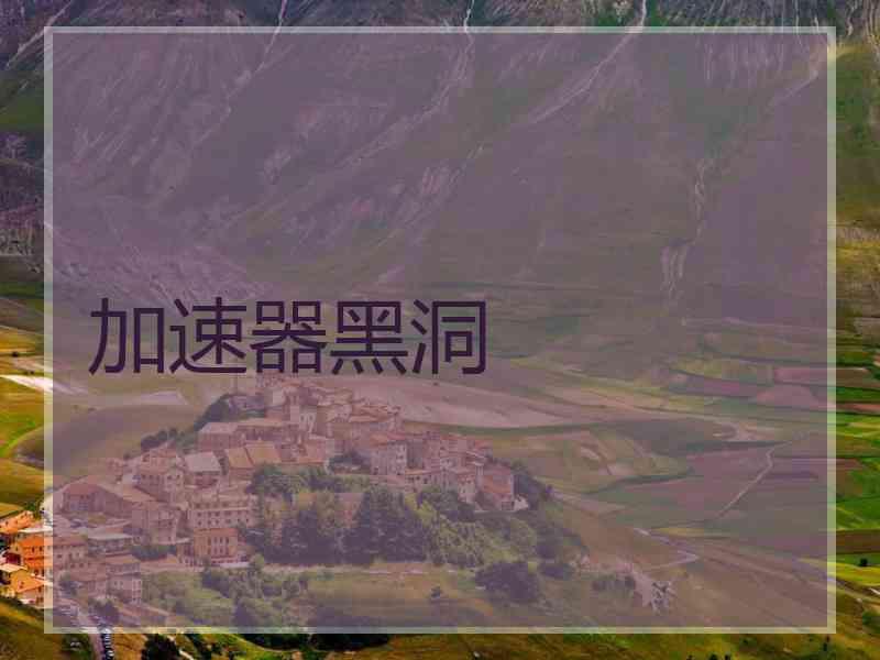 加速器黑洞