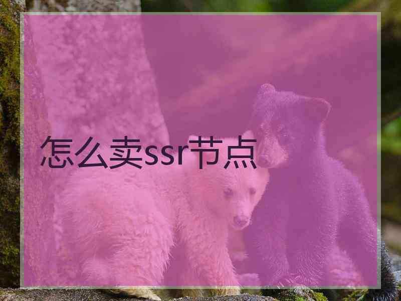 怎么卖ssr节点