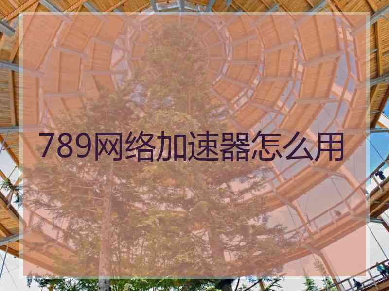 789网络加速器怎么用