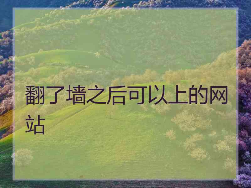 翻了墙之后可以上的网站