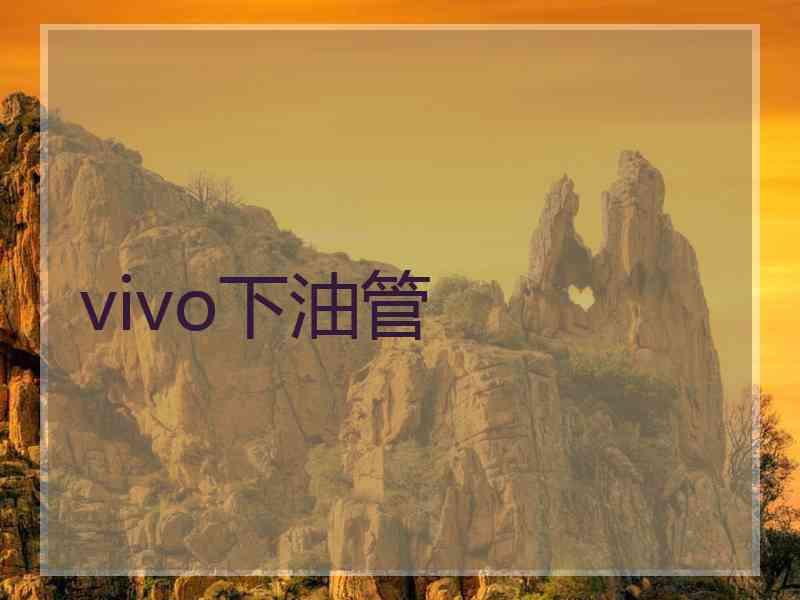 vivo下油管