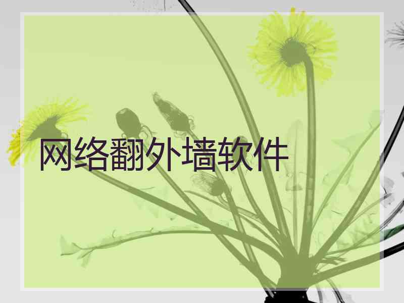 网络翻外墙软件