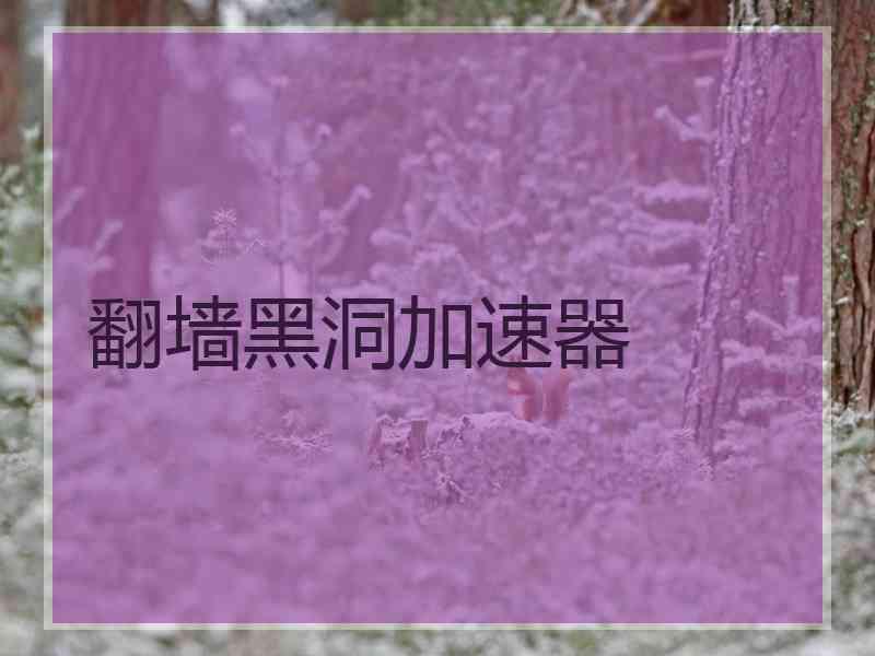 翻墙黑洞加速器