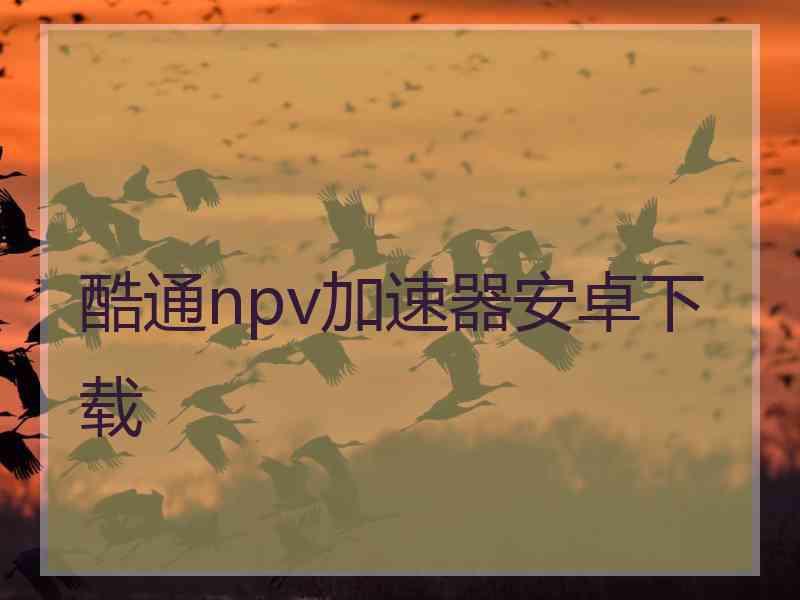 酷通npv加速器安卓下载