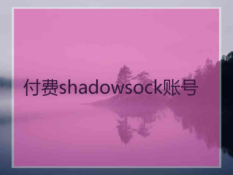 付费shadowsock账号