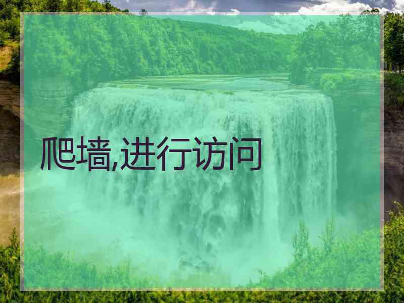 爬墙,进行访问