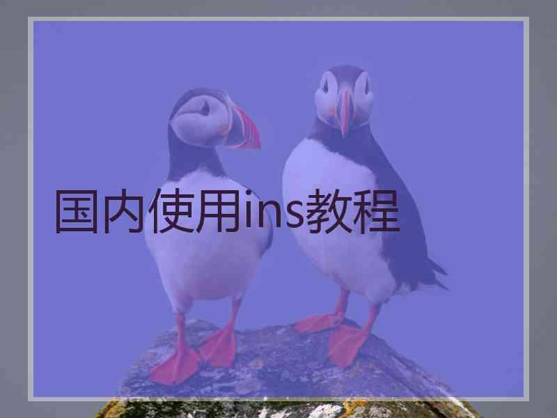 国内使用ins教程