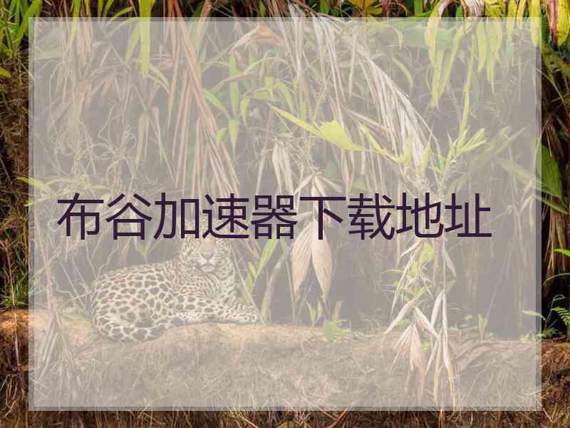 布谷加速器下载地址