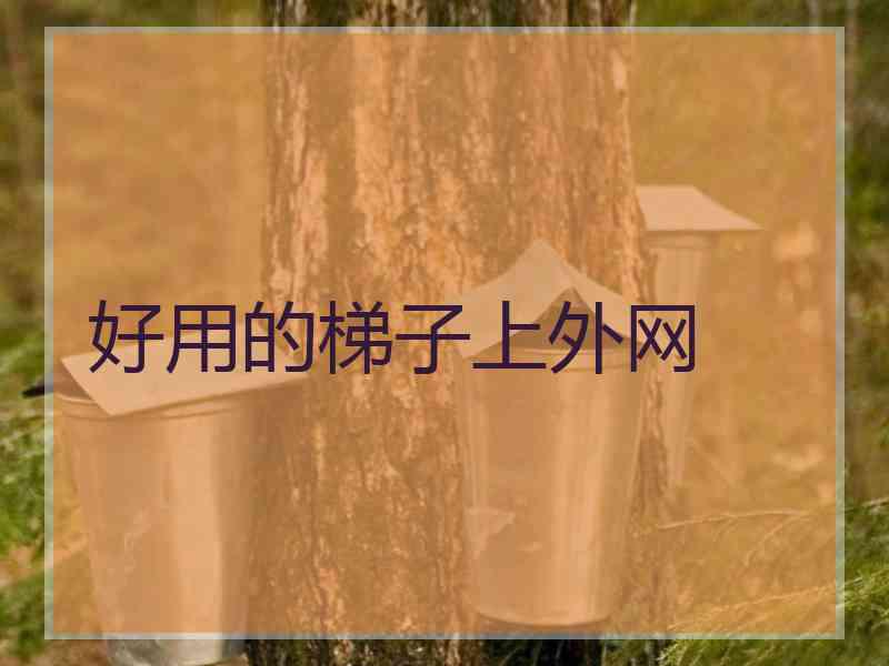 好用的梯子上外网