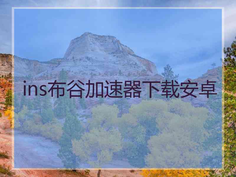 ins布谷加速器下载安卓