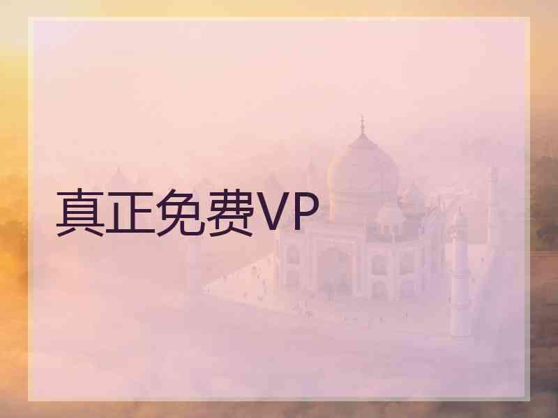 真正免费VP