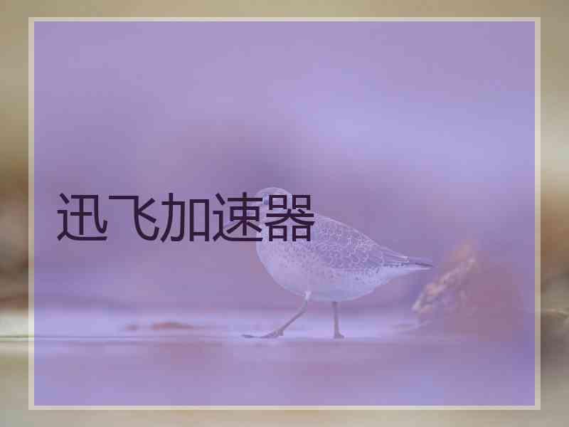 迅飞加速器