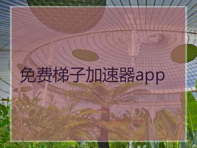 免费梯子加速器app