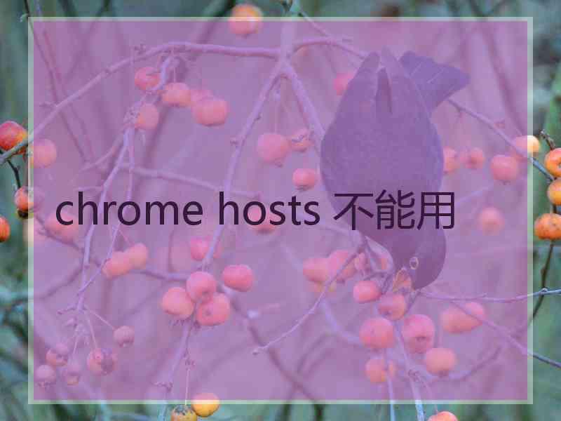 chrome hosts 不能用