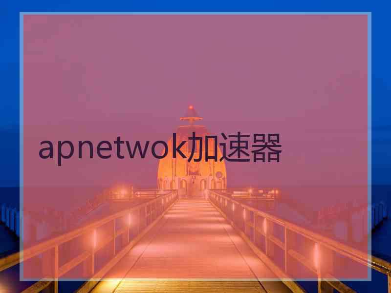 apnetwok加速器
