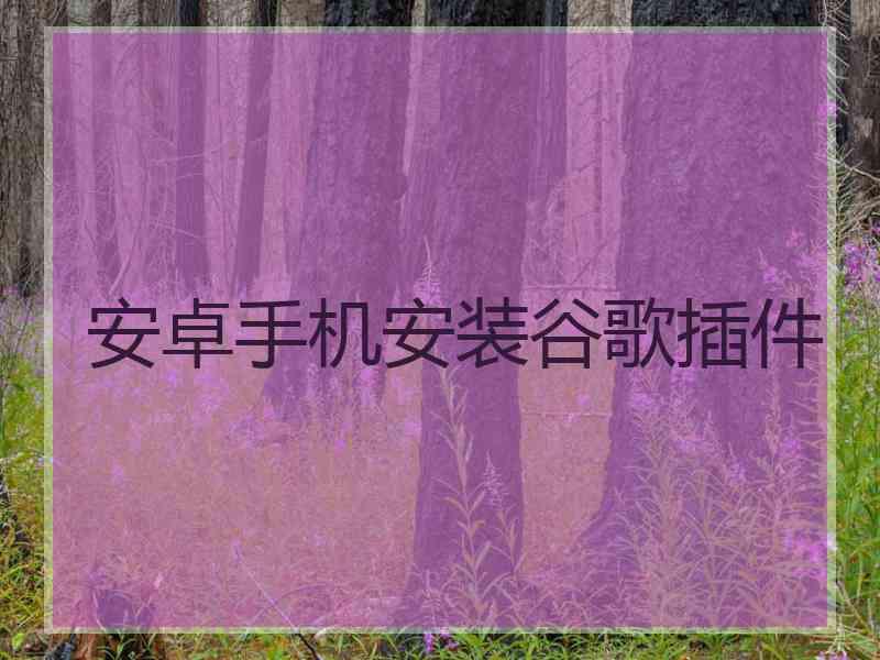 安卓手机安装谷歌插件