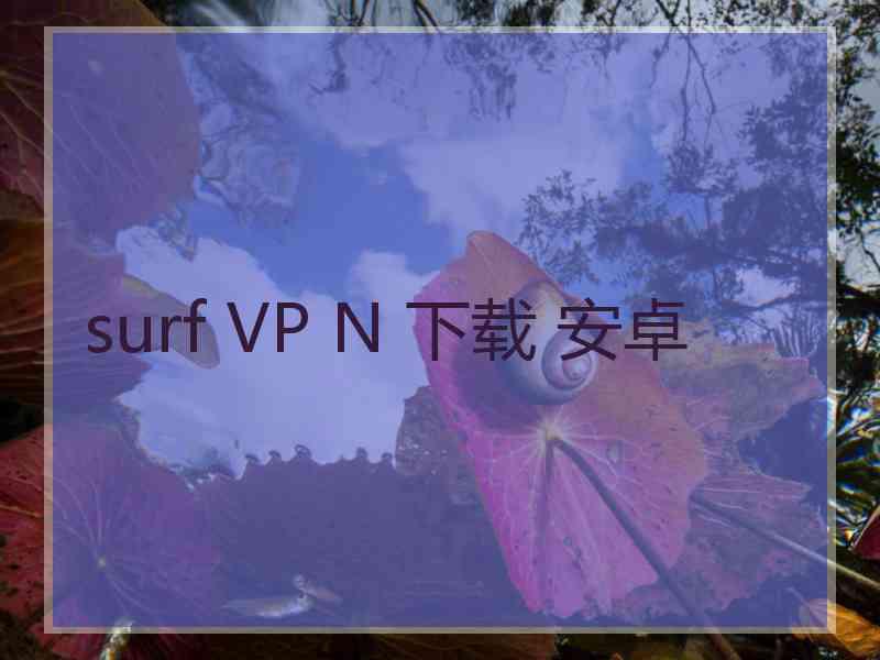 surf VP N 下载 安卓