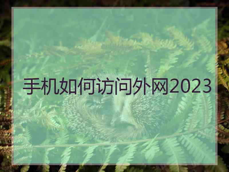 手机如何访问外网2023