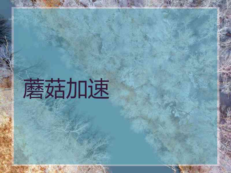蘑菇加速