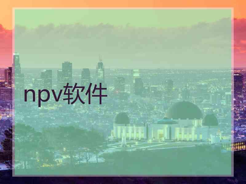 npv软件