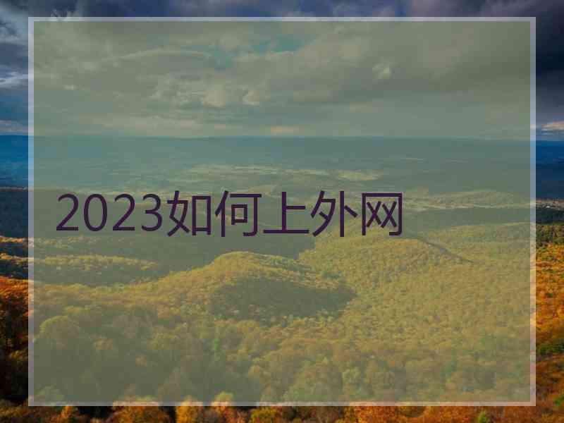 2023如何上外网
