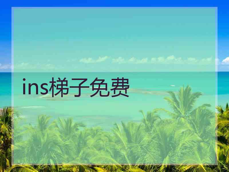 ins梯子免费