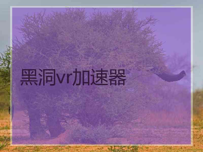 黑洞vr加速器