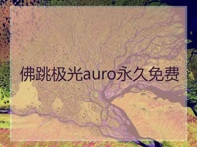 佛跳极光auro永久免费