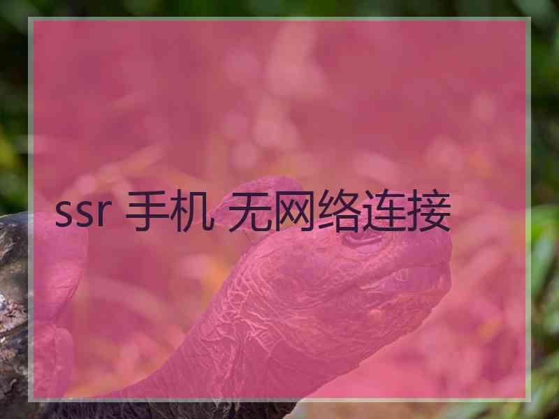 ssr 手机 无网络连接