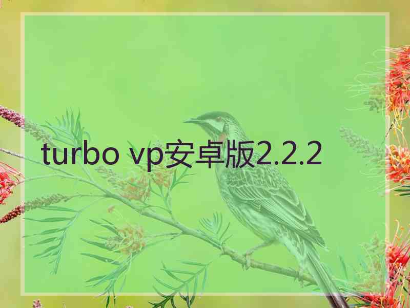 turbo vp安卓版2.2.2