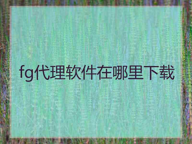 fg代理软件在哪里下载