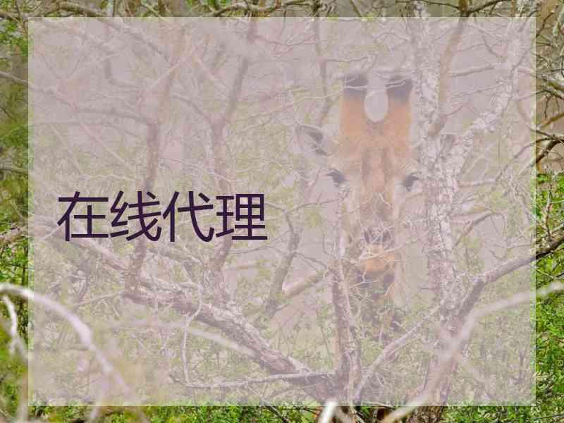 在线代理