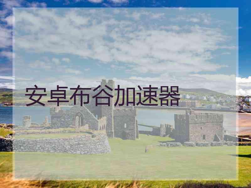 安卓布谷加速器