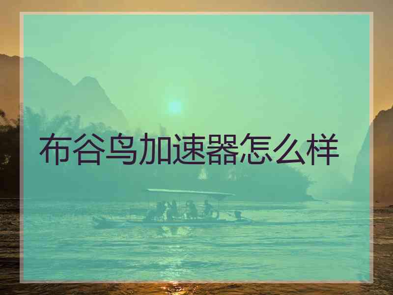 布谷鸟加速器怎么样