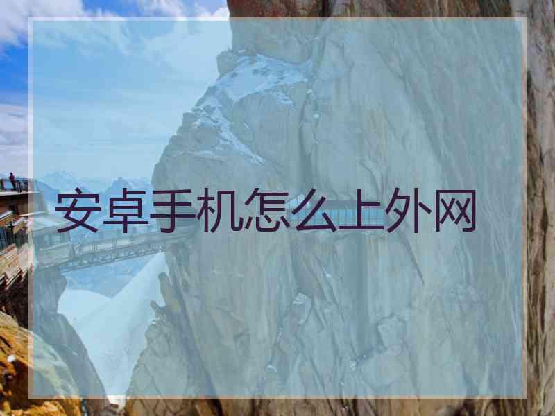 安卓手机怎么上外网