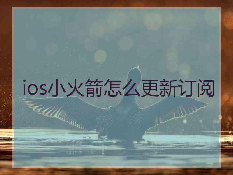ios小火箭怎么更新订阅