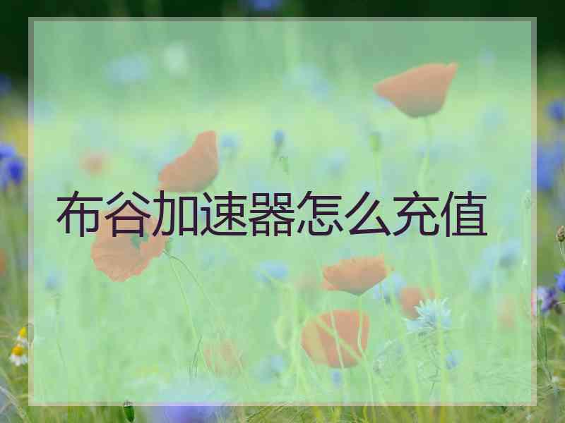 布谷加速器怎么充值