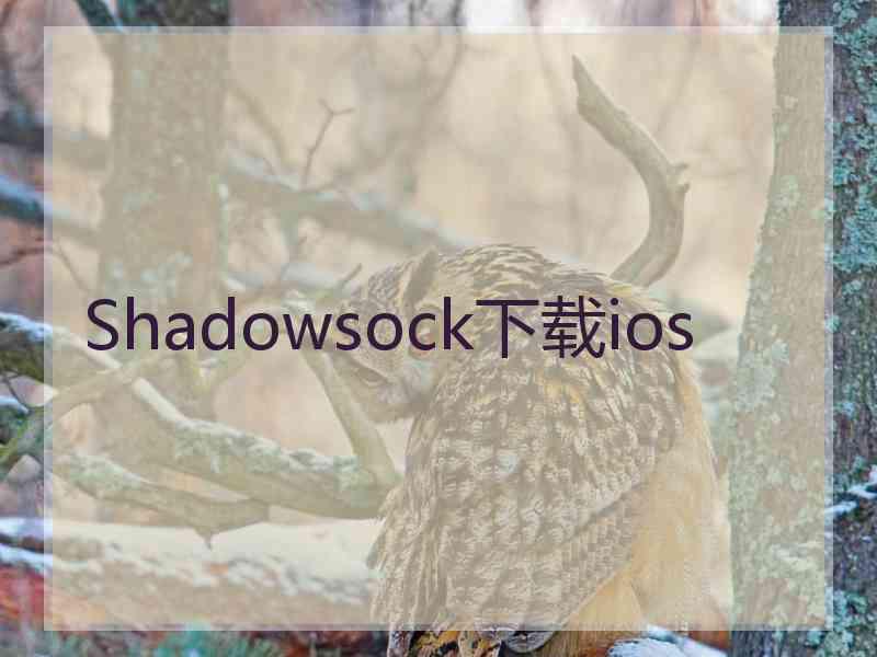 Shadowsock下载ios