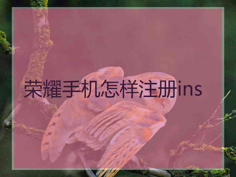荣耀手机怎样注册ins