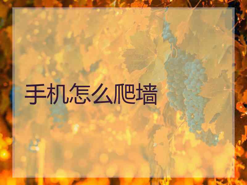手机怎么爬墙