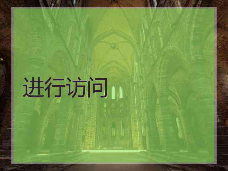 进行访问