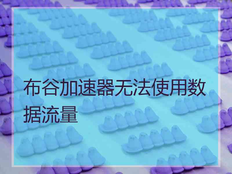 布谷加速器无法使用数据流量