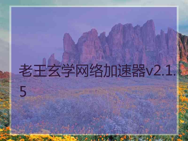 老王玄学网络加速器v2.1.5