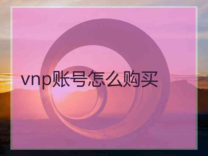 vnp账号怎么购买