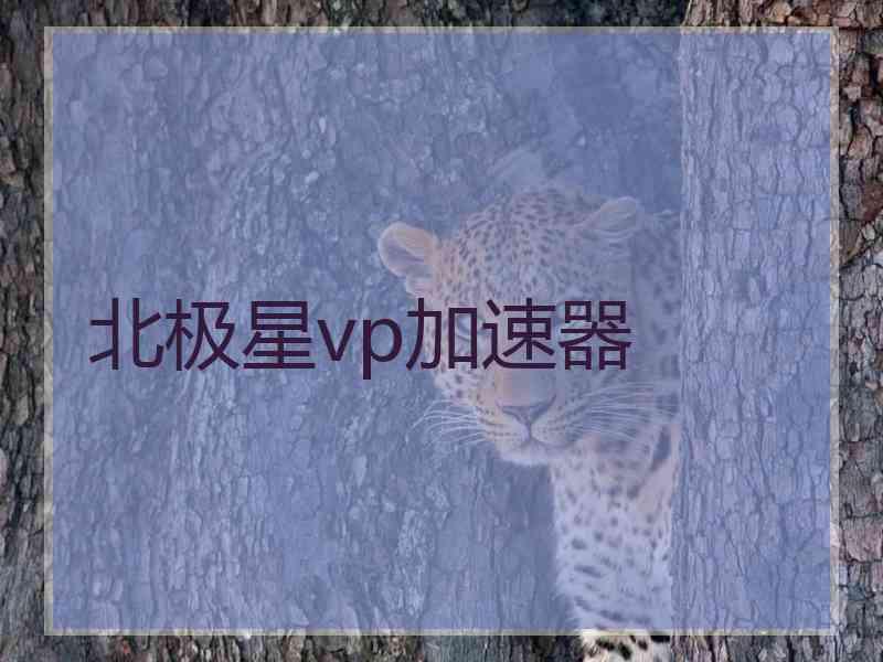 北极星vp加速器