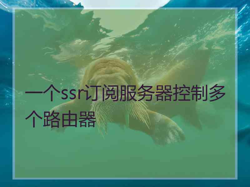 一个ssr订阅服务器控制多个路由器