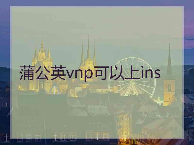 蒲公英vnp可以上ins
