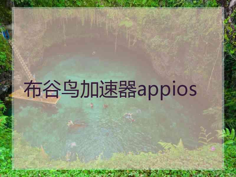 布谷鸟加速器appios